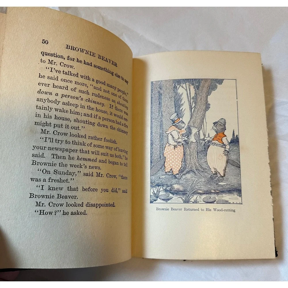 1916 The Tale of Brownie Beaver by Arthur Scott Bailey